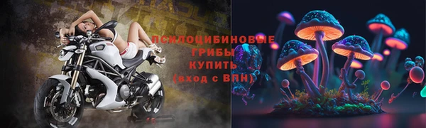 гашик Белоозёрский