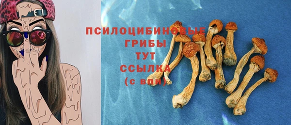 гашик Белоозёрский