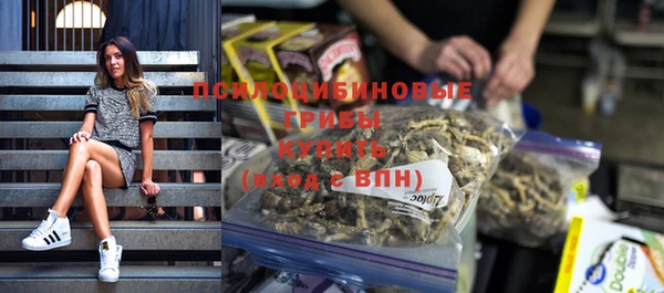 гашик Белоозёрский