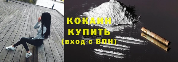 гашик Белоозёрский