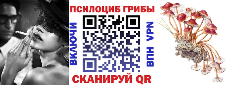 кракен как войти  Шахунья  Галлюциногенные грибы мухоморы 